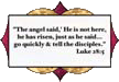 scripture for decorative window film