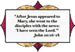 scripture for decorative window film