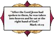 scripture for decorative window film