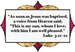 stained glass window film scripture